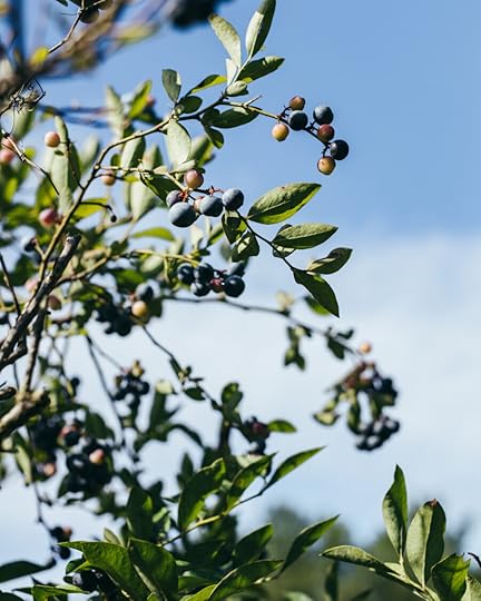 Let it Be Sunday, 381!