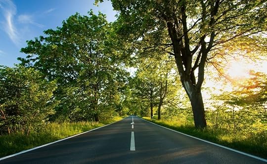 Country road summer