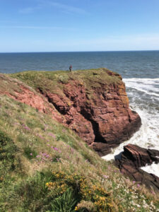 Bonny Scotland, cliff path near Arbroath