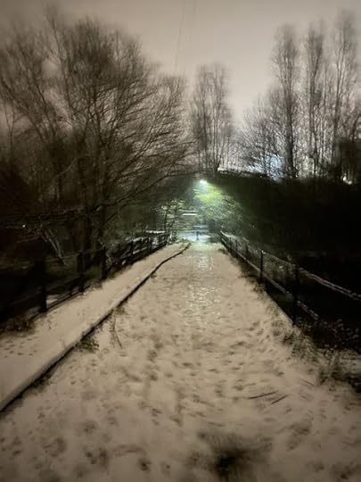 An out of focus image of a snow laden path across a bridge at night. Ahead is a headlight, which is creating green circular swirling effect. Picture taken by Richard of Hollins