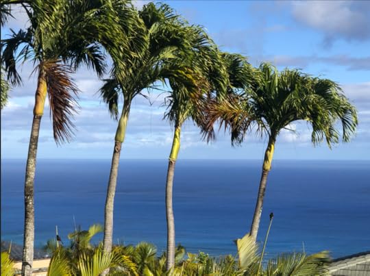 Segreto Finishes goes to Hawaii