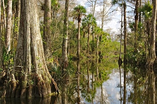 everglades national park