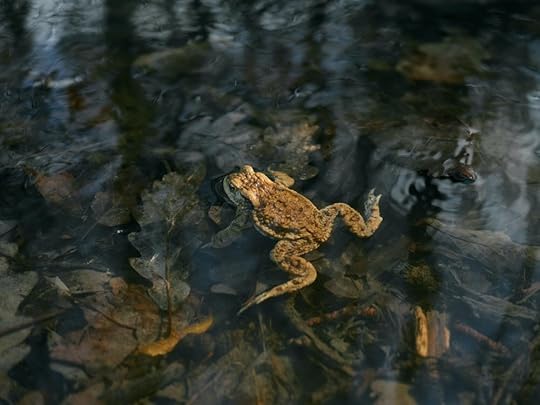 Comfortable with my environment