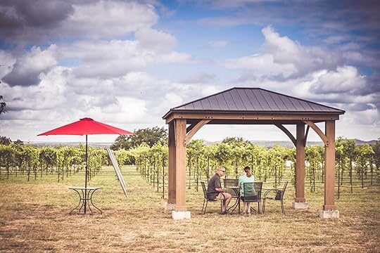 Bending Branch cabana and vineyard-texas hill country wineries