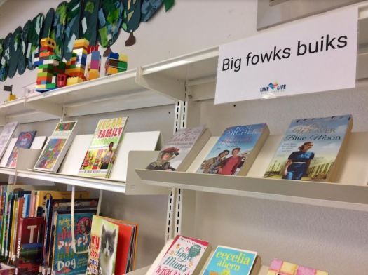 Cairnbulg library