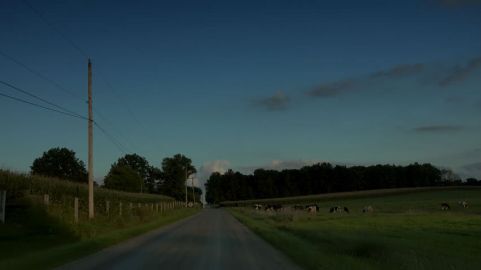 country road night