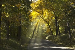 link between heaven and earth