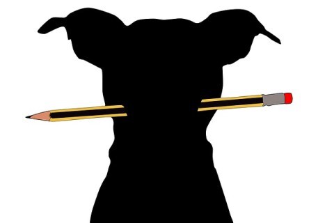 writers, authors, resources, toolbox, encouragement, fun, romantic suspense, journey, writer’s journey, adventure, tips, direction, research, joy, funny, inspiration, thyme, time