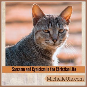 Cat glaring at camera and other poor ideas for 2025