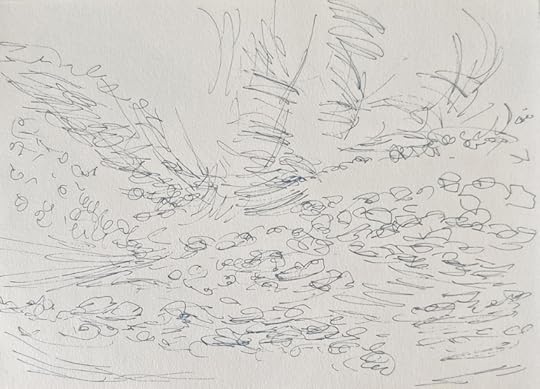 IMG_20220708_080324_900