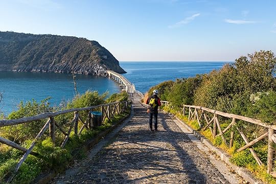 bridge-to-vivara-island