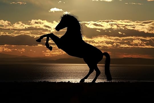 Profile of a horse, silhouette, rearing up. Behind is the sea, the remains of sunset, and shadows of mountains in the distance.