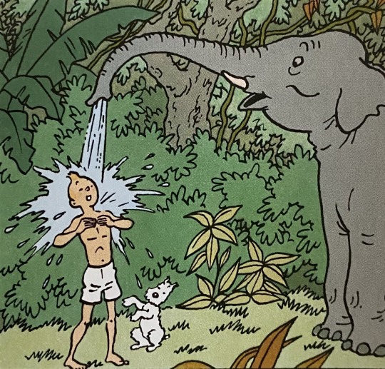 Elephant Shower