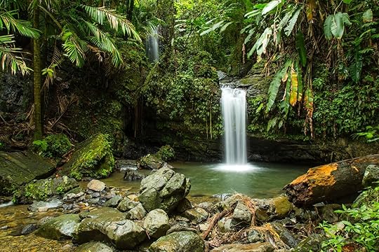 Juan Diego Falls Puerto Rico
