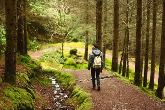 Pathwalking is an active practice that anyone can employ 