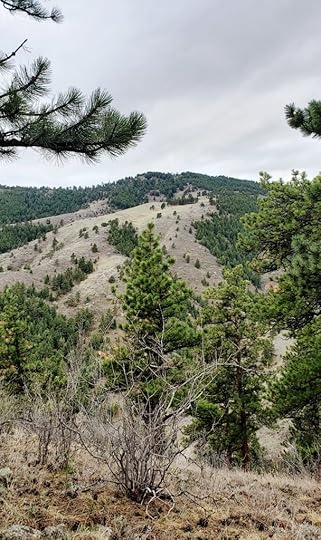 The image shows the writer's view during a hiking break. A view of a mountain with mixed areas of bare ground and forested.