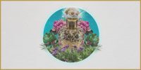 weekly aastrology