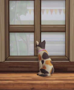 A screenshot from The Sims 4 video game. A calico cat stares out the window. 