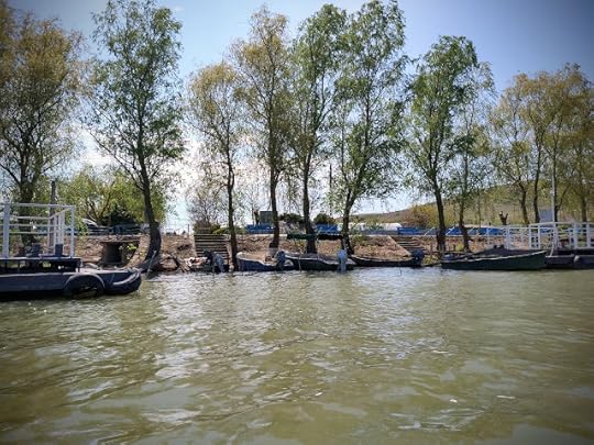 Mahmudia, Tulcea