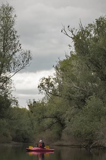 De la Somova la Parches, Delta Superioara, Tulcea
