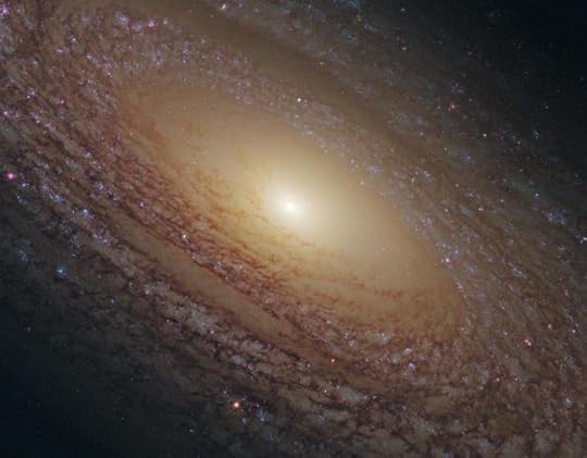 FLOCCULENT SPIRAL NGC 2841 just 1 of countless galaxies filled with countless stars