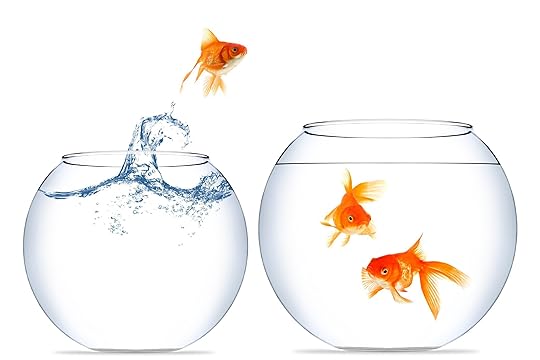 How to Cross-Sell and Up-Sell More Efficiently, Part Two
