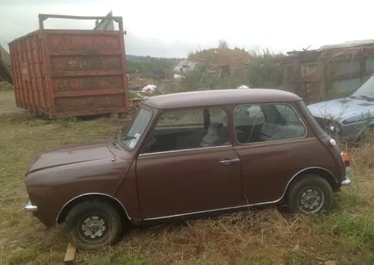 photo of brown Mini