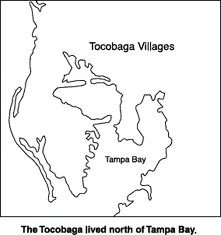 Who put the Baga in Baga Shores? The tribe once lived in the northern part of Tampa Bay
