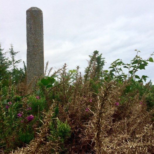 early morning walk to the witch stone