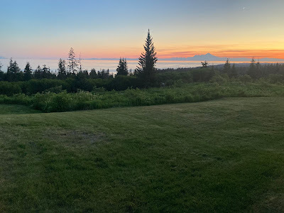 Evening sky, sunset colors ranging from pinks to blues, Alaskan landscape with pines and mowed grass in foreground.