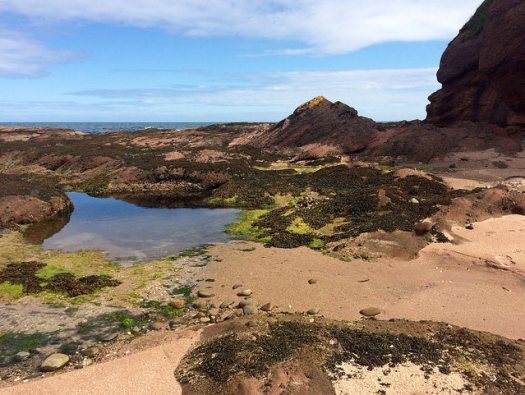 rock pool: North East Scotland Beaches