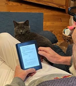 cat sharing a chair with a man 