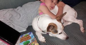 Blog: Goodbye Evvy: Dealing With Greif