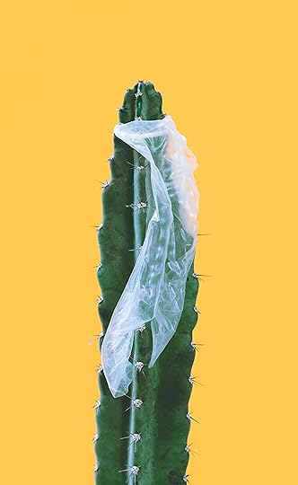 Sex Education: Can a condom break?