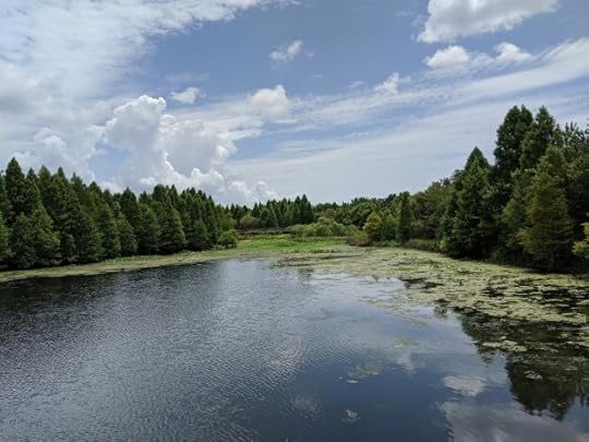 Alligator Park