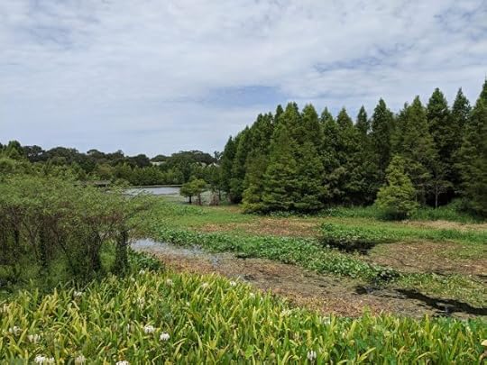 Alligator Park