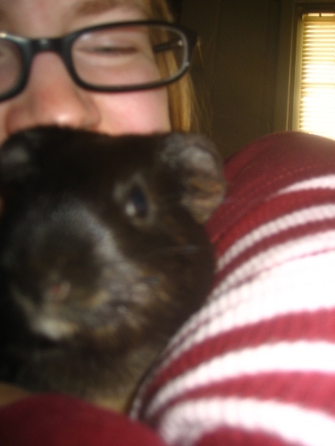 Rachel E Smith guinea pig Murderface