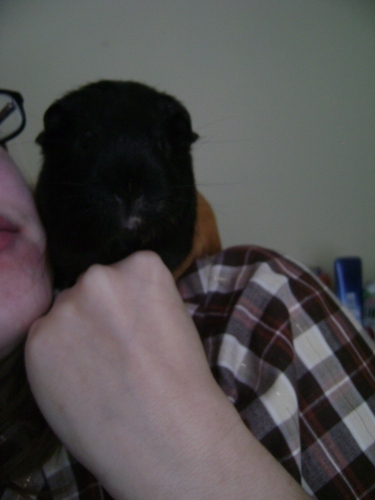 Rachel E Smith guinea pig Murderface