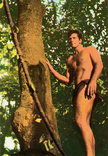 Ron Ely in Tarzan (1966-1968)