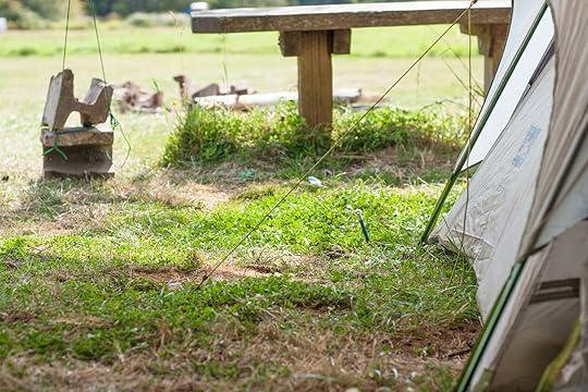 REI half dome tent stakes