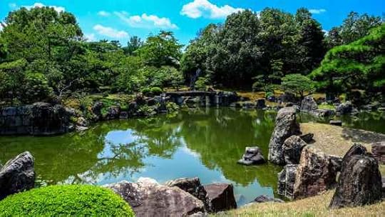 lake surrounded by trees
