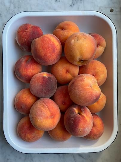 Ripe peaches in a white enamel pan