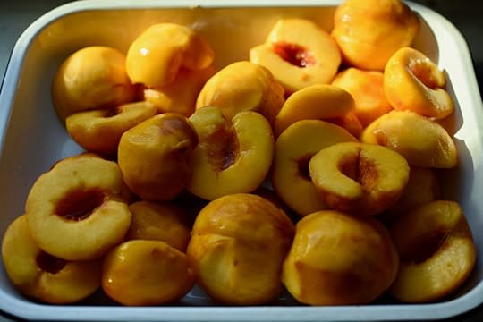 Peeled peach halves in a white enamel pan, sitting in a sunny spot.