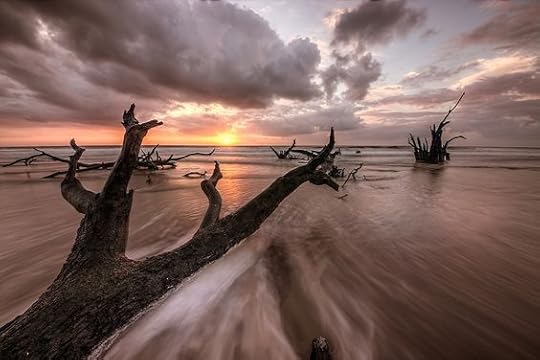 An image of a dead tree trunk lying on the sand in the shallow waters of a beach, with waves receding from it, along with other branches and beach debris in the shallows. Taken from low down looking out to sea at sunset. Taken by Walter Arnold on Salpelo Island, Georgia, USA