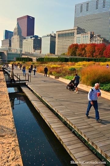 Fall Lurie Garden Walk © Shawna Coronado.jpg