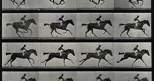 Galloping Horse Muybridge