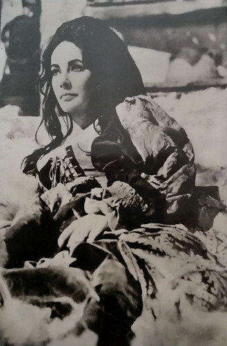 Elizabeth Taylor in The Taming of the Shrew (1967)