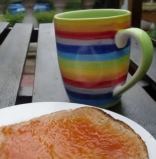 rowan berry jam