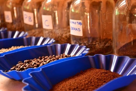 fairview estate kenyan conffee