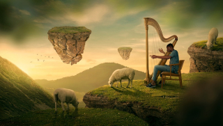 Sheep